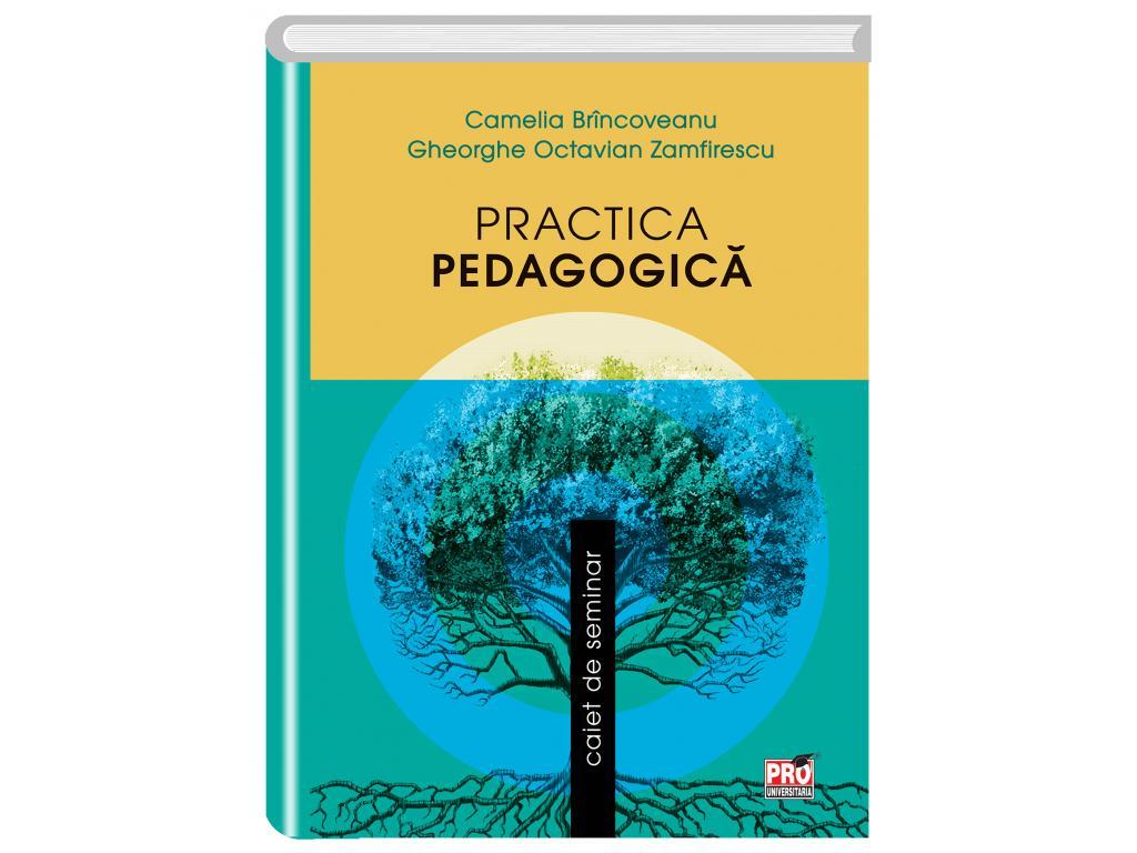 Practica pedagogica. Caiet de seminar
